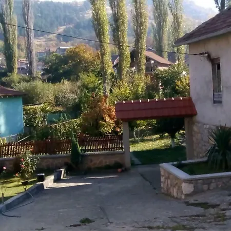 View *