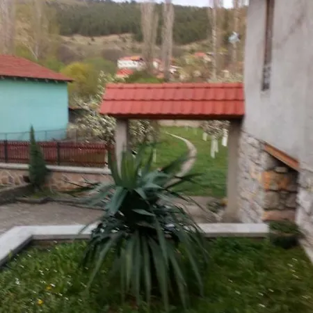 View Bed & Breakfast *
